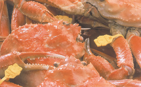 䌧EzOC݁@ف@