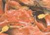 䌧EzOC݁@ف@FJj