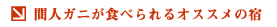ԐlKjHׂIXX̏h